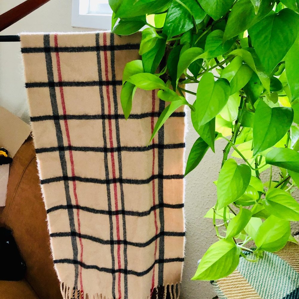 Cozy Burberry Scarf